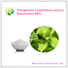 High Quality 100% Natural Plant Extract Resveratrol Powder